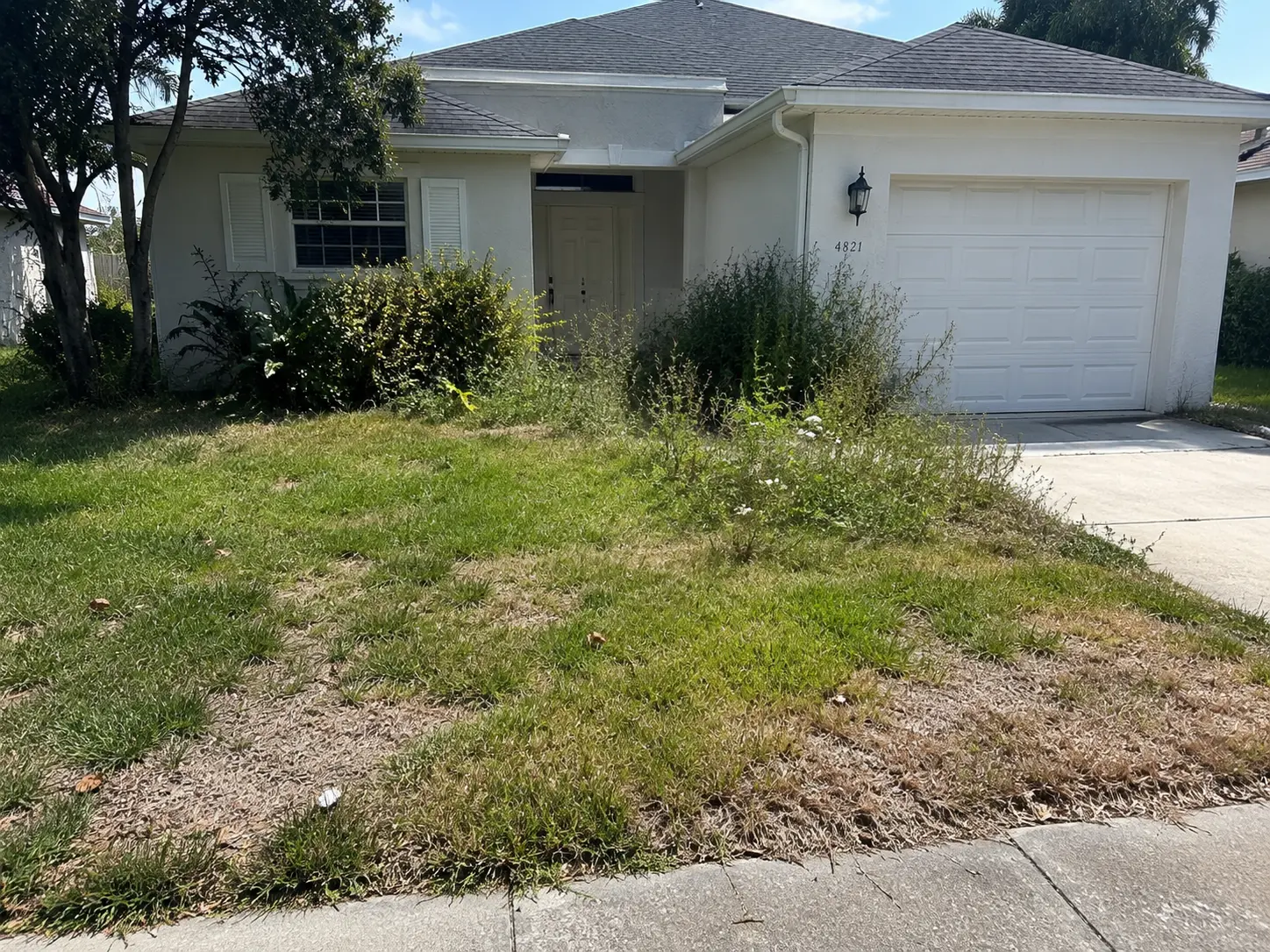 HOA violation: overgrown front-yard landscaping